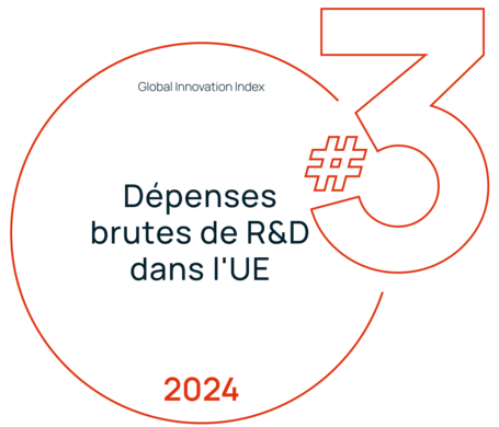 Top 3 Depenses brutes de R&D dans l UE